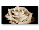Panorama wall painting FLOWERS Discount 40% 30X60 cm
